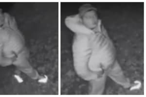 Peeping Tom Sought In Bucks County: Authorities