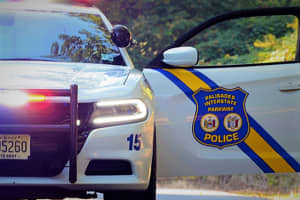 HEROES: Palisades Parkway Police Rescue Suicidal Man Who Tried Driving Car Off Cliffs