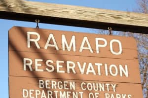 UPDATE: Ramapo Reservation Remains Closed Indefinitely Following Coyote Attacks On Woman, Dog