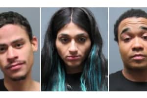 Police: Phony Female Prostitute, Pals Jump Little Ferry Customer, 28, At South Hackensack Motel