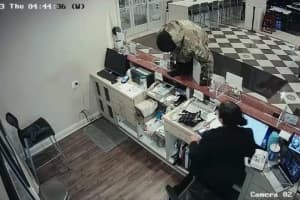 Watch: Knife-Wielding Robber At Long Island Motel Seen On Surveillance Video