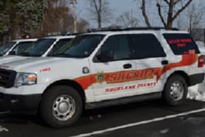 Intoxicated Man Arrested Driving With Dog On Roof In Rockland, Police Say
