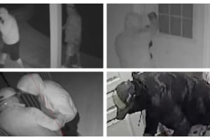 'Russian' Burglars 'Ransack' Home In Montgomery County: Police