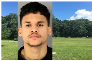 Teen Nabbed After Pulling Gun During Bogus Bicycle Sale In Wallington Park, Prosecutor Says
