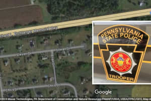 Dog Shot With BB Gun In Berks County: PSP
