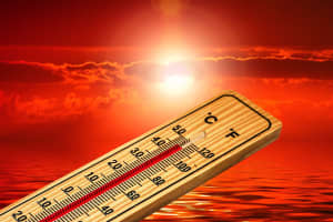 First Heat-Related Death Of Summer Reported In Maryland