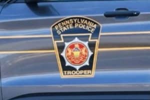 Man Dies In Farm Equipment Crash On PA Rt 219: State Police