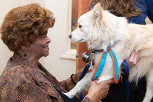 Three-Legged Rescue Dog Helps Rescue Dementia Patients In New Rochelle