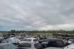 Dozens Of Vehicles Damaged By Auto Auction Lot Fire In Elkton (DEVELOPING)