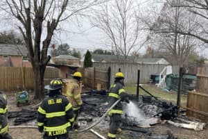 Six Puppies Perish In Bel Air Shed Blaze: Maryland Fire Marshal (VIDEO)