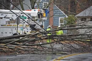 Bethel Authorities Update Residents On Status Of Tree Debris