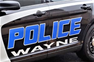 Wayne CPA, 83, Struck, Killed
