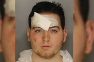 Chesco Thief Who Stabbed Cop In Head Learns His Fate