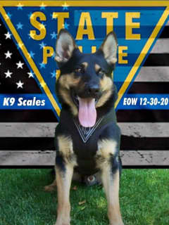State Police Mourn Loss Of K-9 Who Sniffed Out Bomb Threats Across NJ
