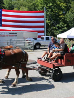 New Fairfield Day Features Parades, Music, Activities
