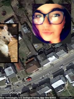 Abuse Claims By Family After Rat Crawling On Dead Dad Lands Littlestown Mom Charges