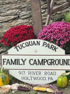 No Charges After 3-Year-Old Boy Found Shot Dead At Lancaster Campground: DA