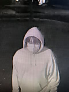 Police Ask Public's Help In Locating Hampden County Larceny Suspect