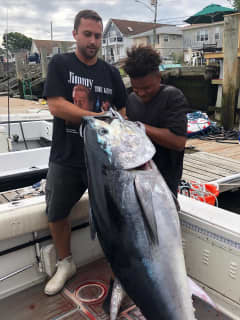 For 'Reel': Fishermen Catching Huge Tuna Weighing Up To 600 Pounds In NY Harbor
