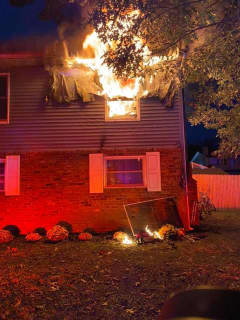 Cat Killed In Long Island House Fire