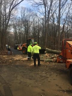 Downed Tree, Wires In Ramapo Causes Delays On Wilder Road