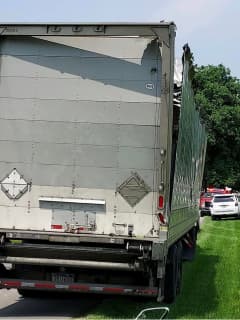 UPS Tractor-Trailer Veers Off Road, Hits Tree In Lehigh Valley (PHOTOS)