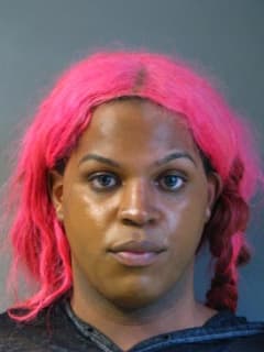 Wanted Woman Apprehended At Garden City Motel After Violent Struggle