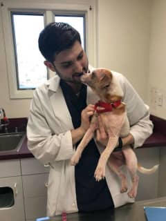 White Plains Dermatologist Helps Find New Home For Pet With Skin Issues