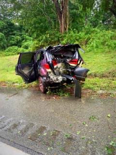 Vehicle Loses Control, Hits Tree On Taconic State Parkway In Yorktown