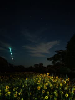 Bright Fireball Above East Coast Was Meteor: NASA