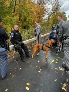 4 Teens Caught With Help From K9 In Chase Near Westchester Airport: Police