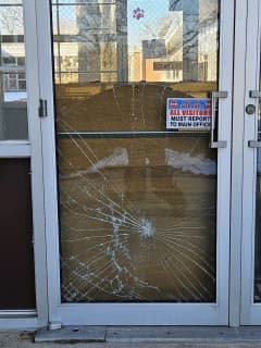 Deer Causes Scare At Howell Elementary School After Hitting Glass Door