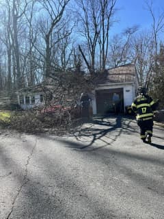 Tree Blown Into Hunterdon County Garage With Homeowner Inside:  Firefighters