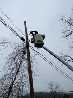 Cat Rescued From Utility Wires In Warren County: Animal Control