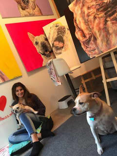 Pascack Valley HS Student Wants To Save All The Dogs... One Painting At A Time