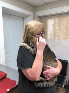 Cat Missing For 11 Years Reunited With Owner Thanks To Dutchess SPCA