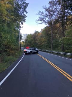 Crash Between Motorcyclist, Deer Closes Route 202 Stretch