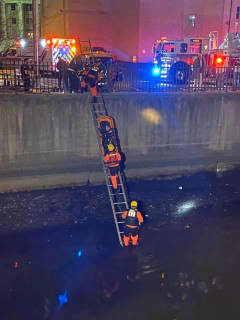Firefighters Rescue Man Who Fell From Bridge Into Elizabeth River (PHOTOS, VIDEO)