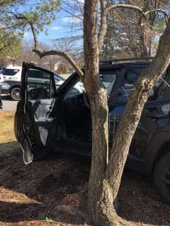 Woman Attempts To Elude Cops By Driving On Lawns Of Rockland Homes, Police Say