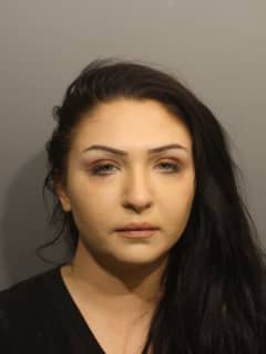 Speeding Stop, K9 Search Leads To Drug Charges For Northern Westchester Woman In Wilton
