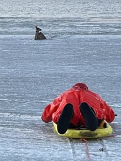 Deer Rescued From Icy Waters On Long Island