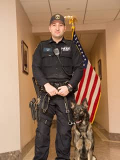 New Rochelle Police Department Welcomes Furry New Four-Legged Officer