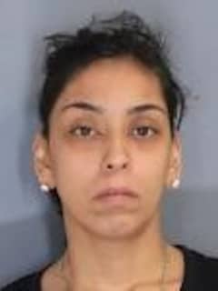 Dutchess Woman Charged With 'Torturing, Injuring Animal' After Dog's Death