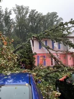 Trees Topple Onto Homes In Northern Maryland During Thunderstorms (PHOTOS)