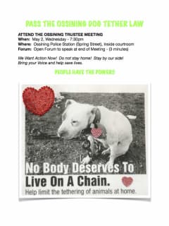 Briarcliff Woman Lobbies Ossining Officials For 'Animal Tether Law'