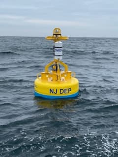 Whale-Tracking Buoy Aims To Prevent Collisions With Boats Off New Jersey Coast