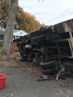 Worker Trimming Tree Branch Injured When Bucket Truck Rolls Over, Police Say