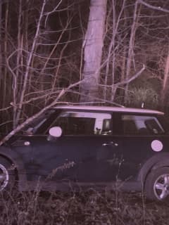 Man Arrested For Aggravated DWI After Crashing Into Tree In Ulster County