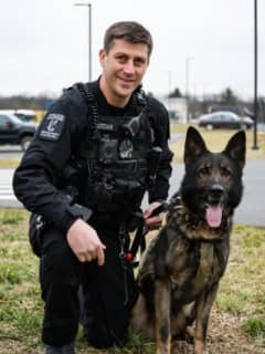 Montgomery County K9 Unit Mourns Sudden Death Of Retired K9