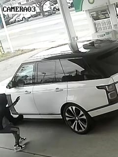 Man Steals Range Rover With Dog Inside As Woman Pumps Gas In Mineola